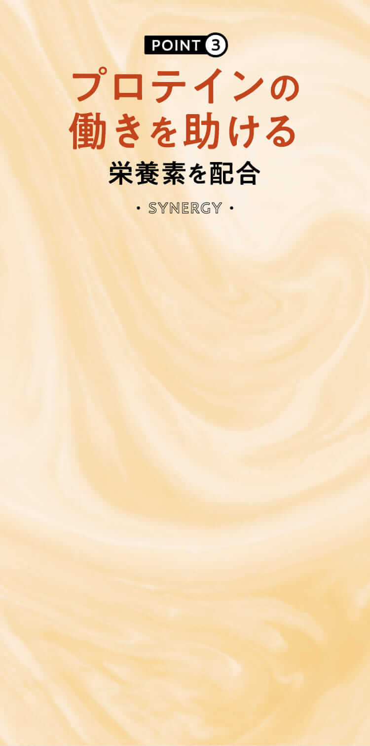 プロテインの
					働きを助ける栄養素を配合